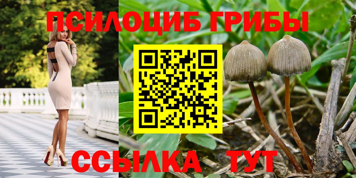Галлюциногенные грибы мухоморы Еманжелинск