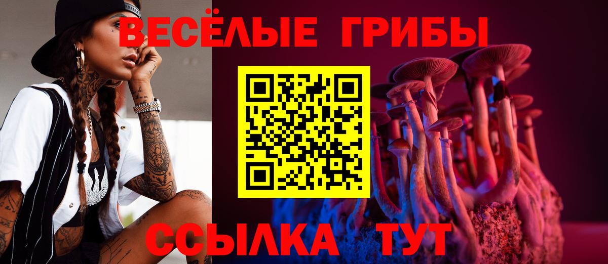 Галлюциногенные грибы Psilocybe  закладки  Еманжелинск  Вход с VPN 