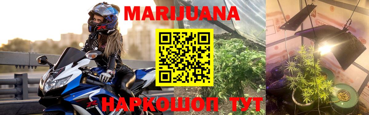 Бошки марихуана сатива  Шишки марихуана Ganja  Каннабис Ganja  Еманжелинск  Конопля Bruce Banner  Вход с VPN 